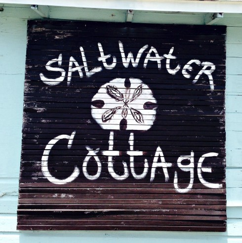 Saltwater cottage sanddollar