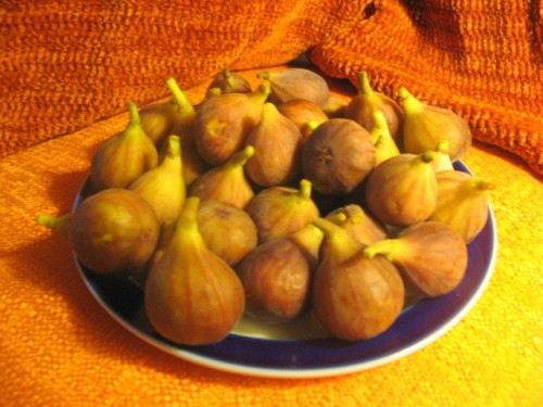 figs 1a