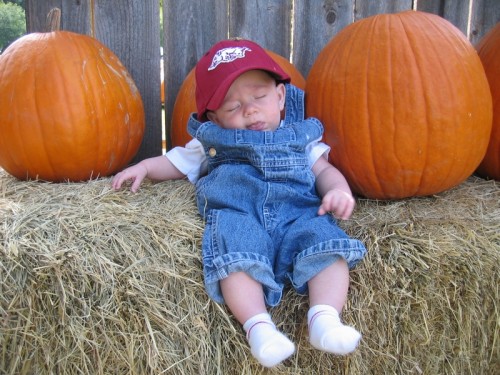 10-15 Sleep in the pumpkin patch