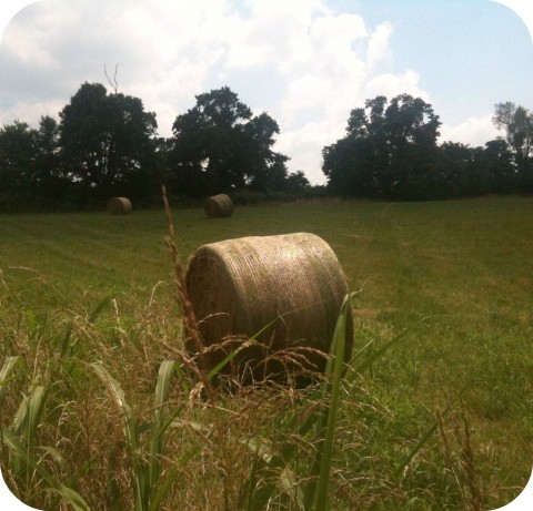 August Hay Bale