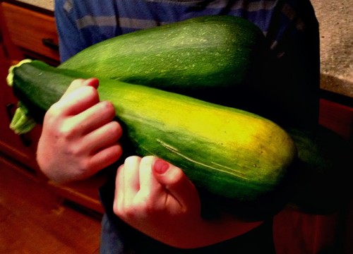 An armload of zucchini