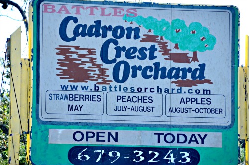 Cadron Crest Orchard