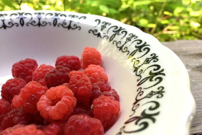Bowl of raspberries jeanetta darley