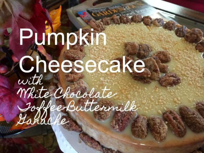 Pumpkin Cheesecake with White Chocolate-Toffee-Buttermilk Ganache